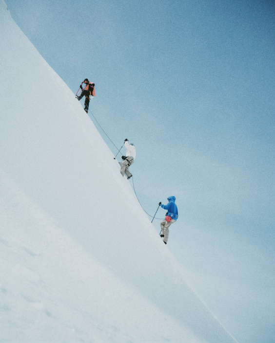 PAL Sporting Goods (8)